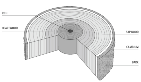 ONEWOOD Sustainability