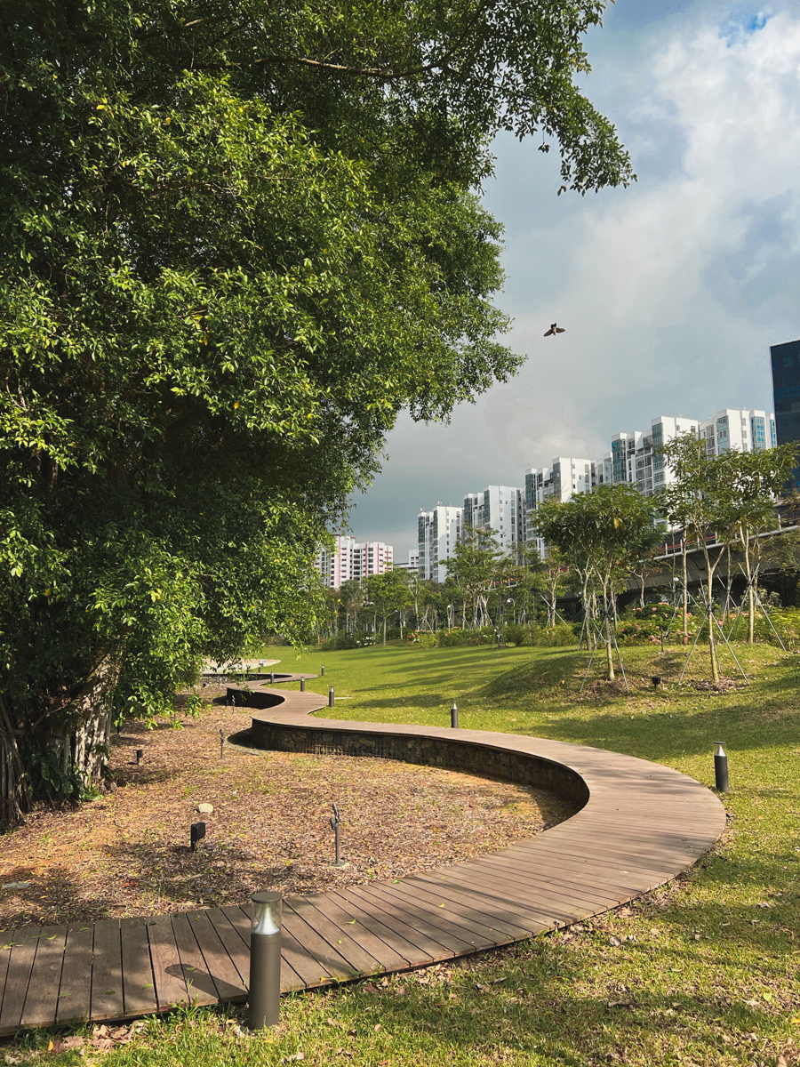 ONEWOOD timber fins and decking