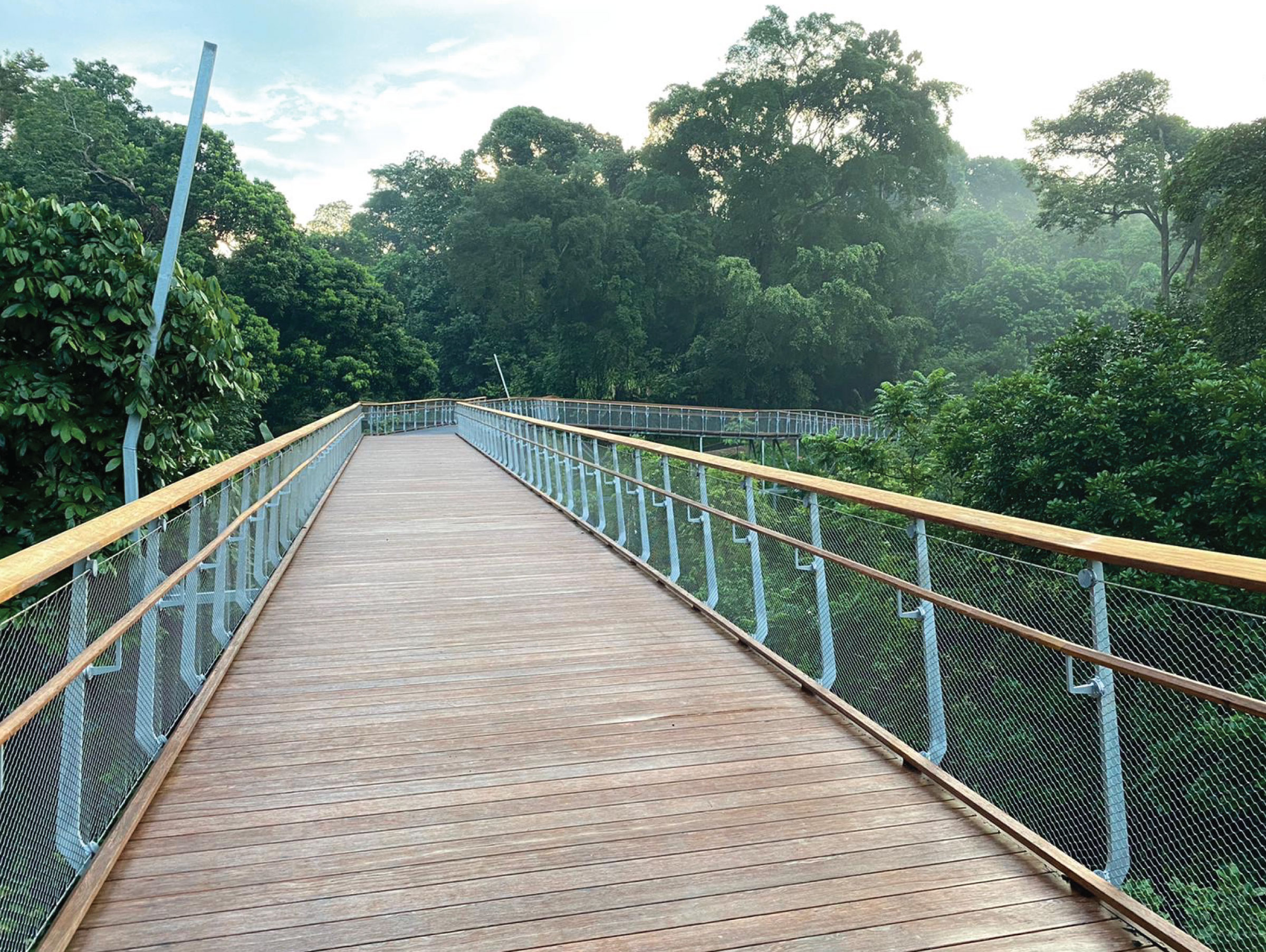 Singapore Rifle Range Nature Park Onewood Nature Boardwalk