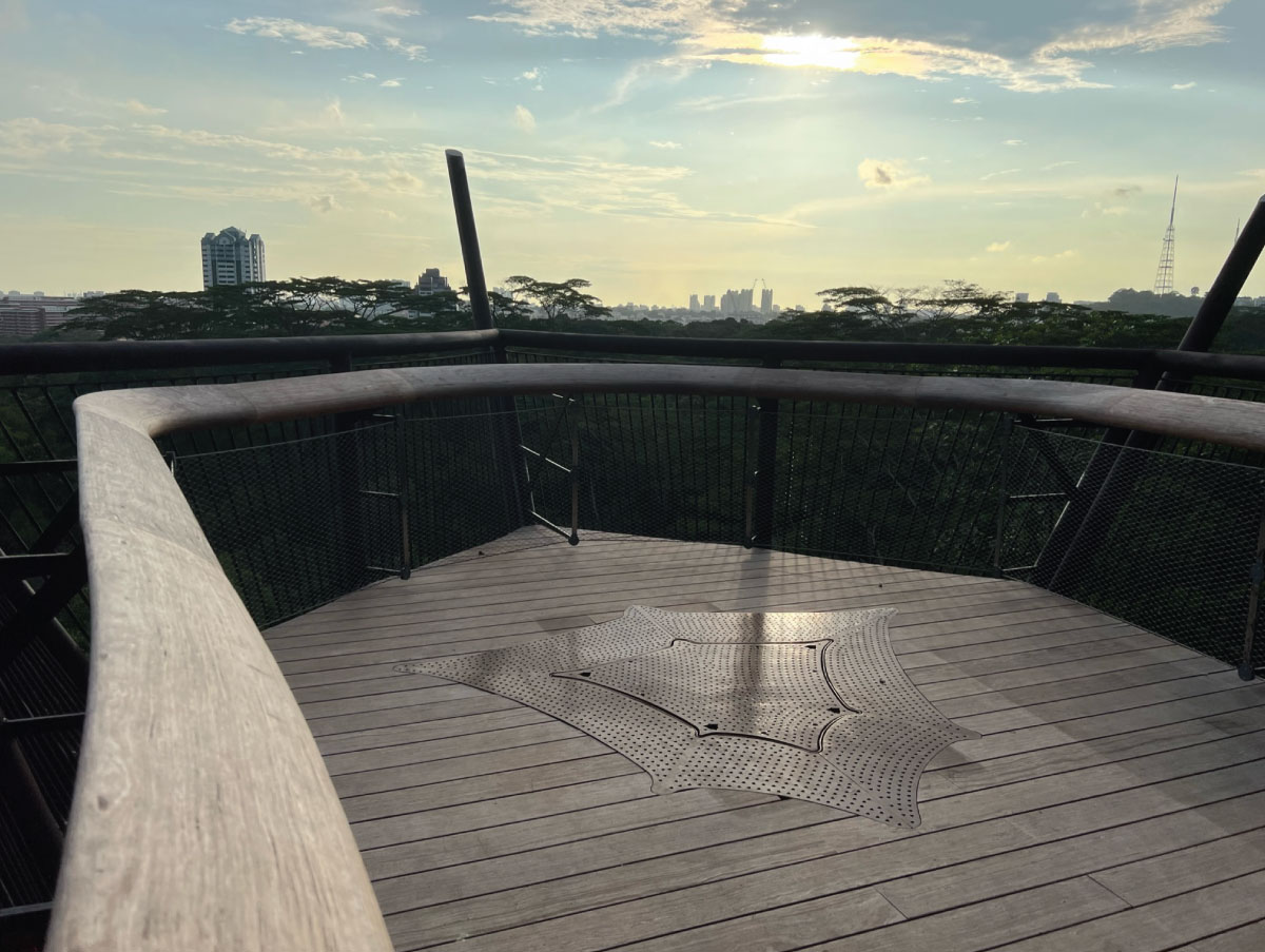 Singapore Rifle Range Nature Park Onewood Handrail